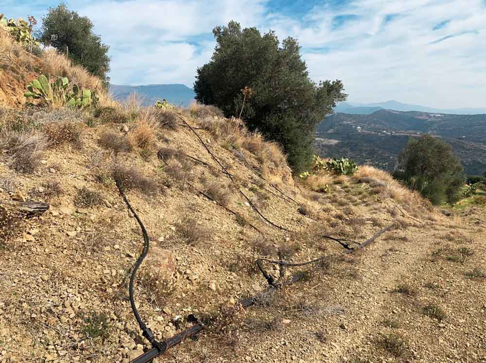Griechenland Grundstück Süd-Kreta