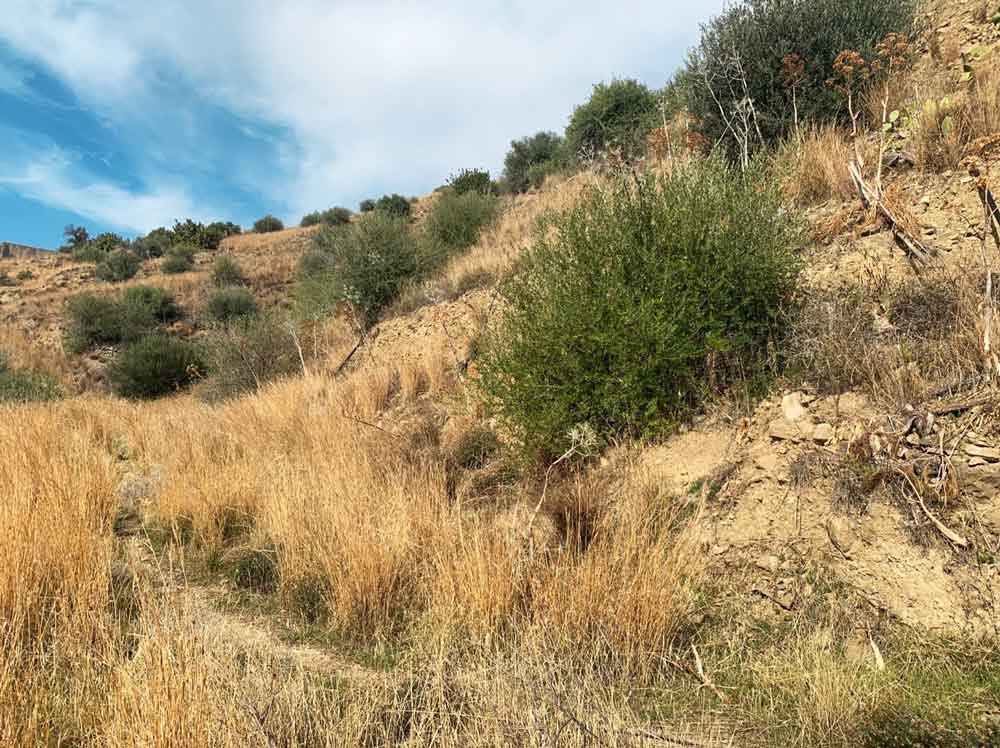 Griechenland Grundstück Süd-Kreta