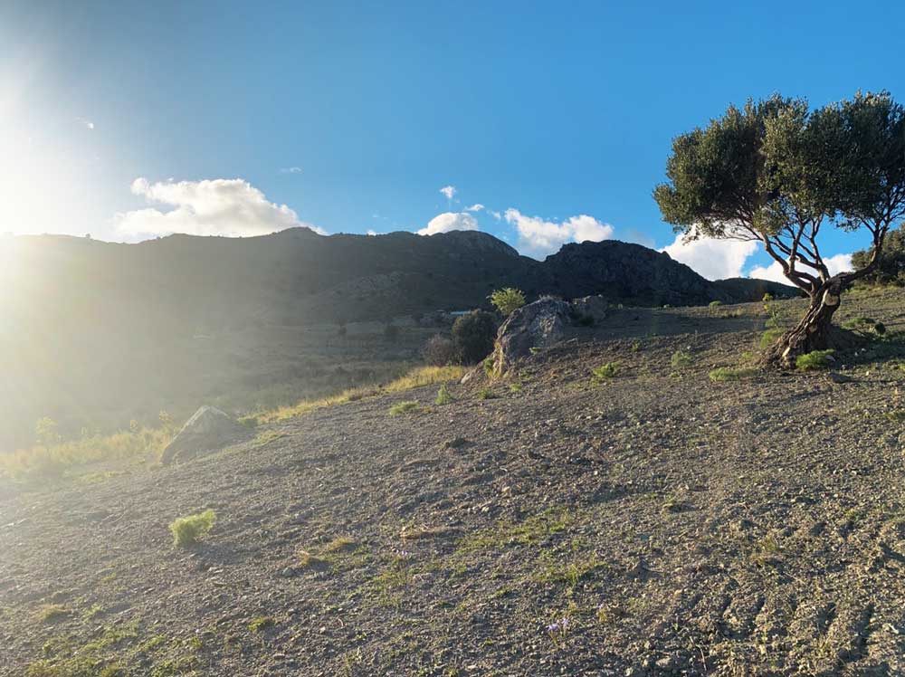Griechenland Grundstück Süd-Kreta