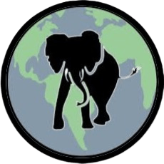 ¿Estás listo para una carrera profesional exitosa?