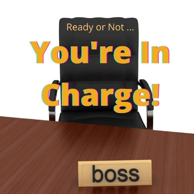 Ready or Not ... You're in Charge - a beginner's guide to leadership. 