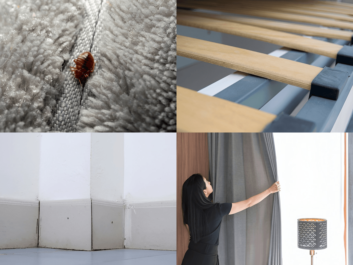 Diagram of common bed bug hiding spots in a bedroom and living room.