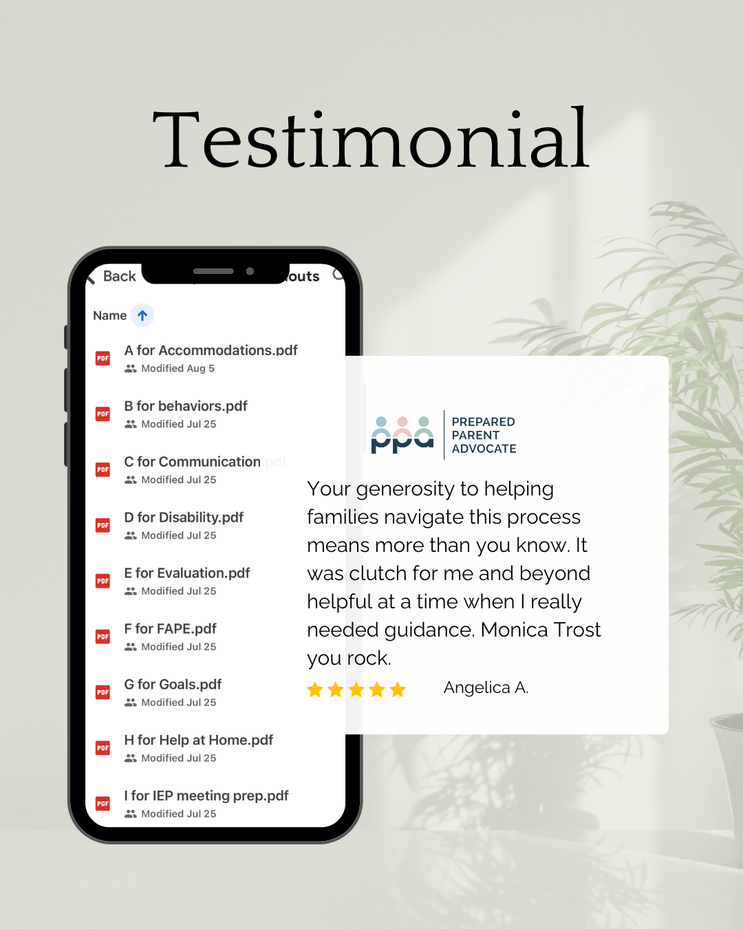 testimonial: Your generosity to helping families navigate this process means more than you know. It was clutch for me and beyond helpful at a time when I really needed guidance. Monica Trost you rock" from Angelica A., parent. 