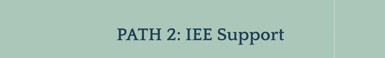 PATH 2: IEE Support. Clinical accountability for when you need a professional second opinion to challenge inaccurate district testing.. Step 1: Testing Review I audit the school's recent psychological evaluations. 