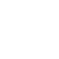 small white circle