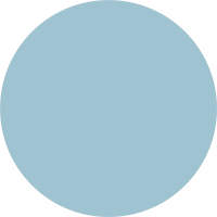 small light blue circle