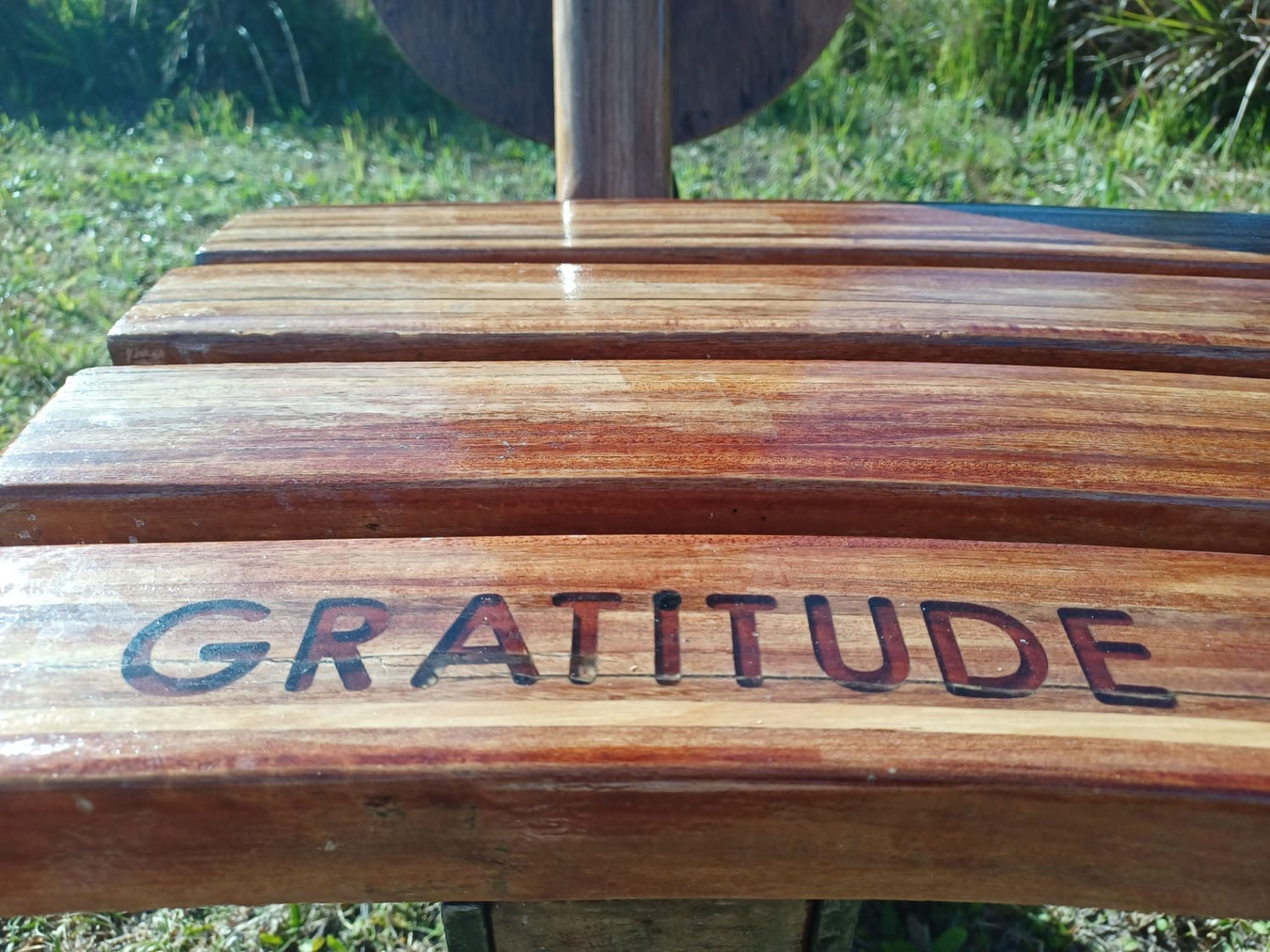 Bench with the word Gratitude carved on it