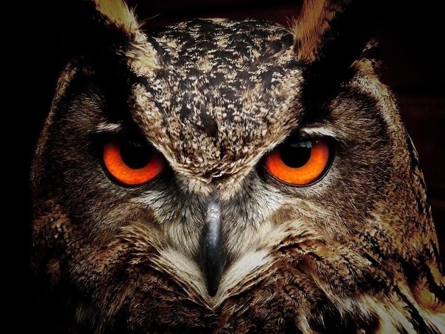 Intuition et Clairvoyance