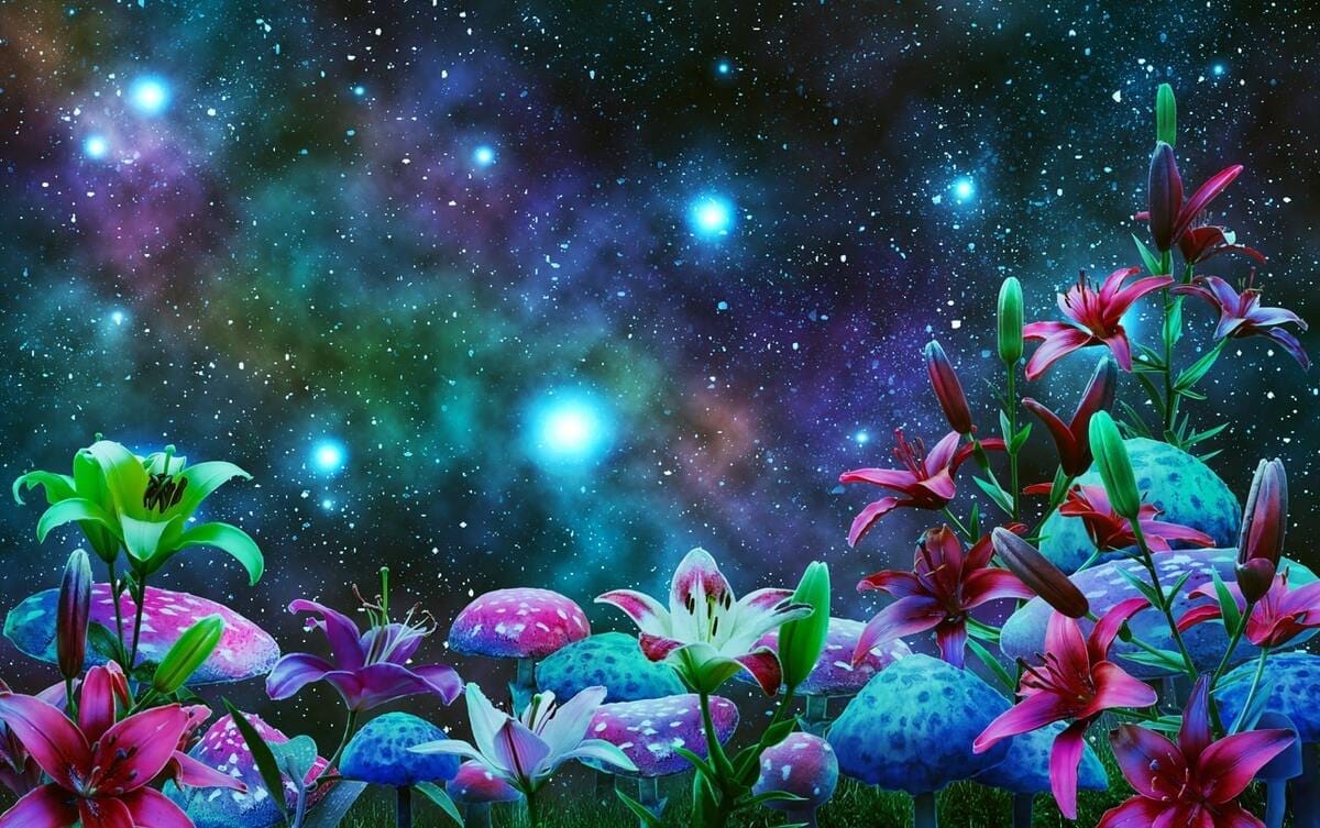 Fleur signification spirituelle