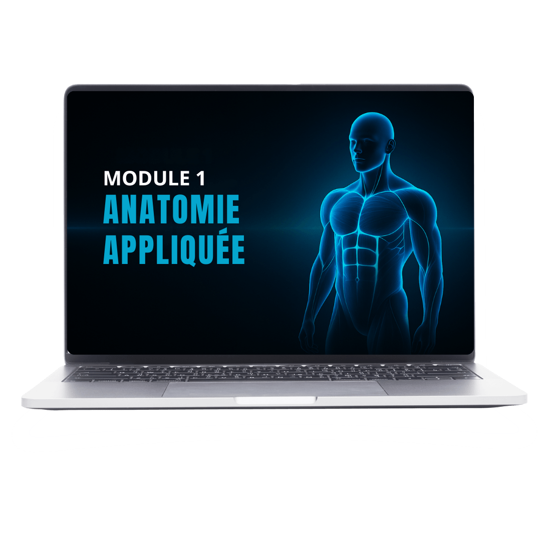 Anatomie appliquée au coaching