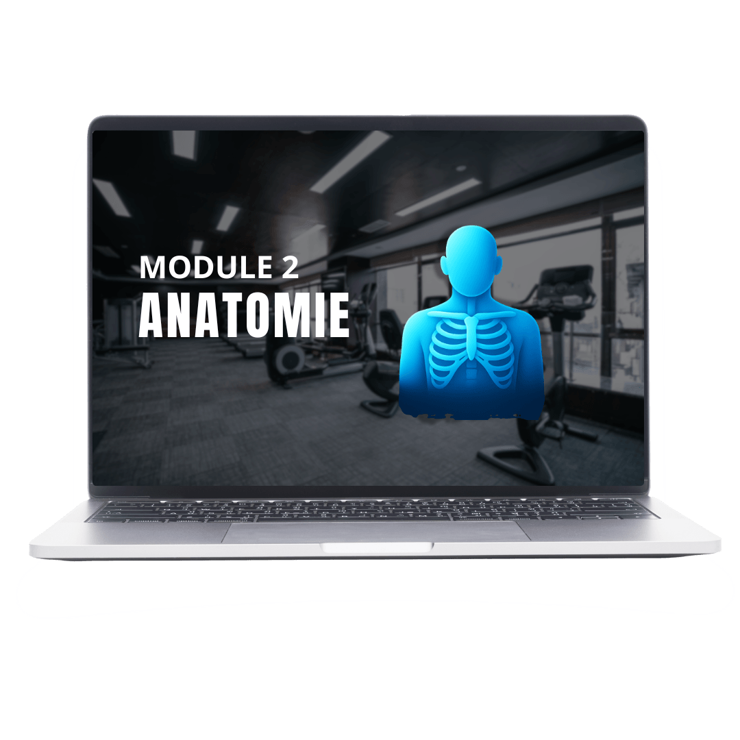 Module 2 Physiologie