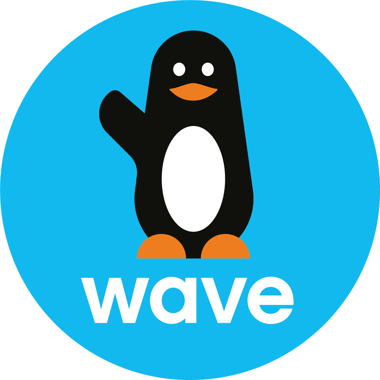 Logo mode de paiement Wave