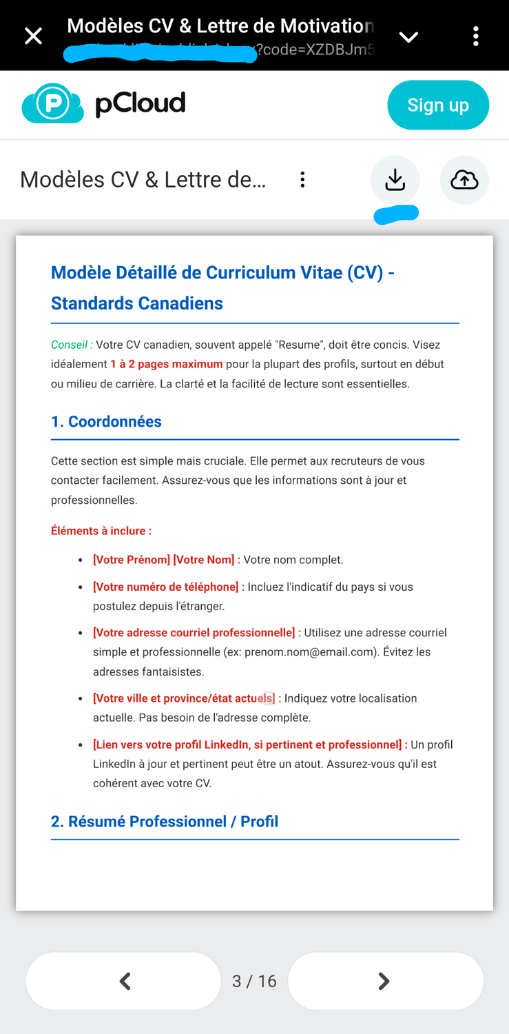 Modèle Détaillé de Curriculum Vitae (CV) - Standards Canadiens