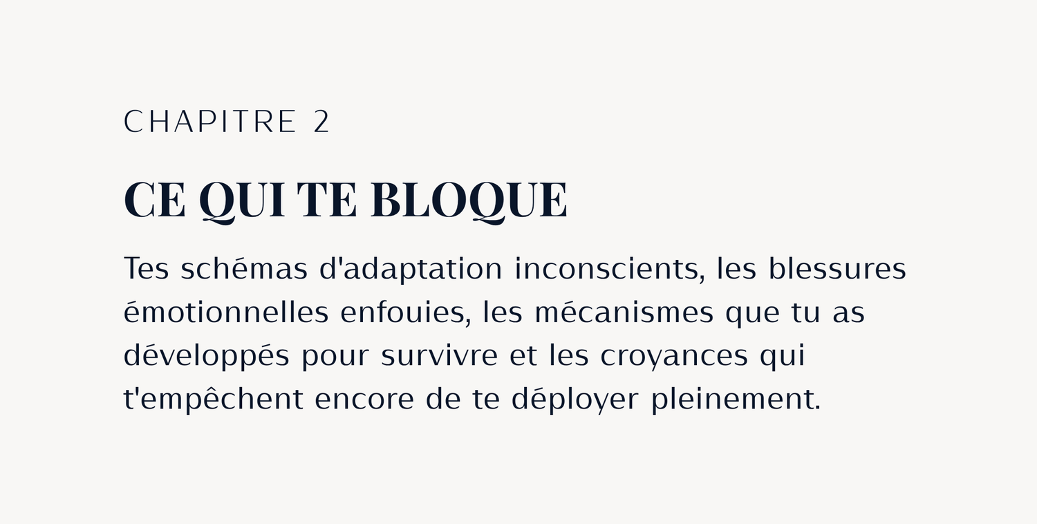 Pancarte avec le texte : Une clarté absolue Celle qui ne subit plus le brouillard mental de ses indécisions, mais qui sait enfin décoder ses besoins profonds pour tracer une direction de vie qui l'honore vraiment.