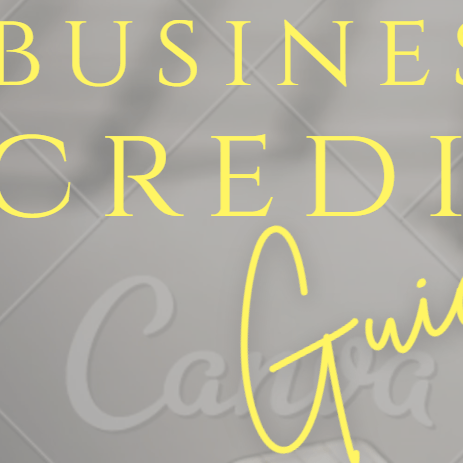 Business Credit ebook