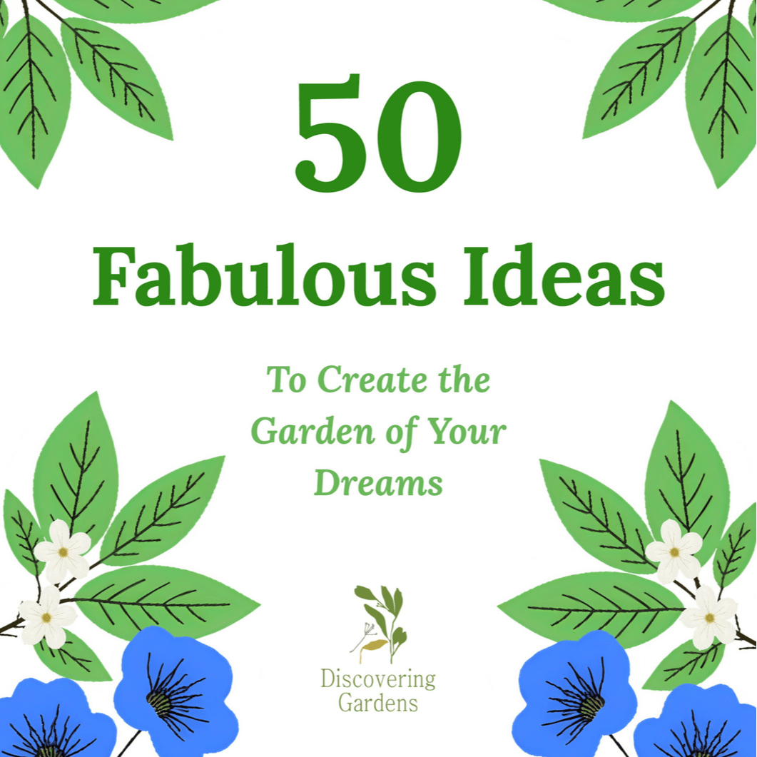 50 Fabulous Ideas to Create the Garden of your Dreams