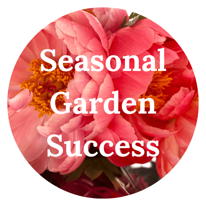 Seasonal Garden Success