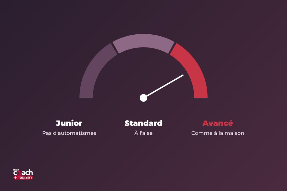 Jauge des niveaux de compétence en informatique : junior sans automatismes, standard à l'aise, avancé comme à la maison