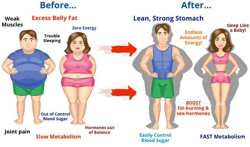 The Fat Burning Kitchen Program