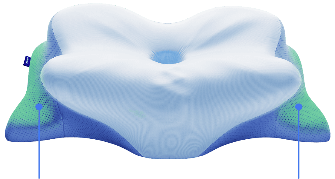 Derila Ergo Memory Foam Pillow
