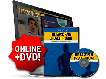 Ageless Knees Program