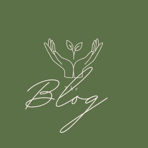 Visit the Blog