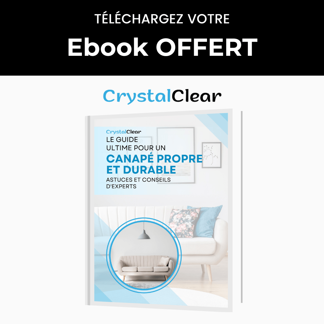 Ebook Nettoyage Canapé