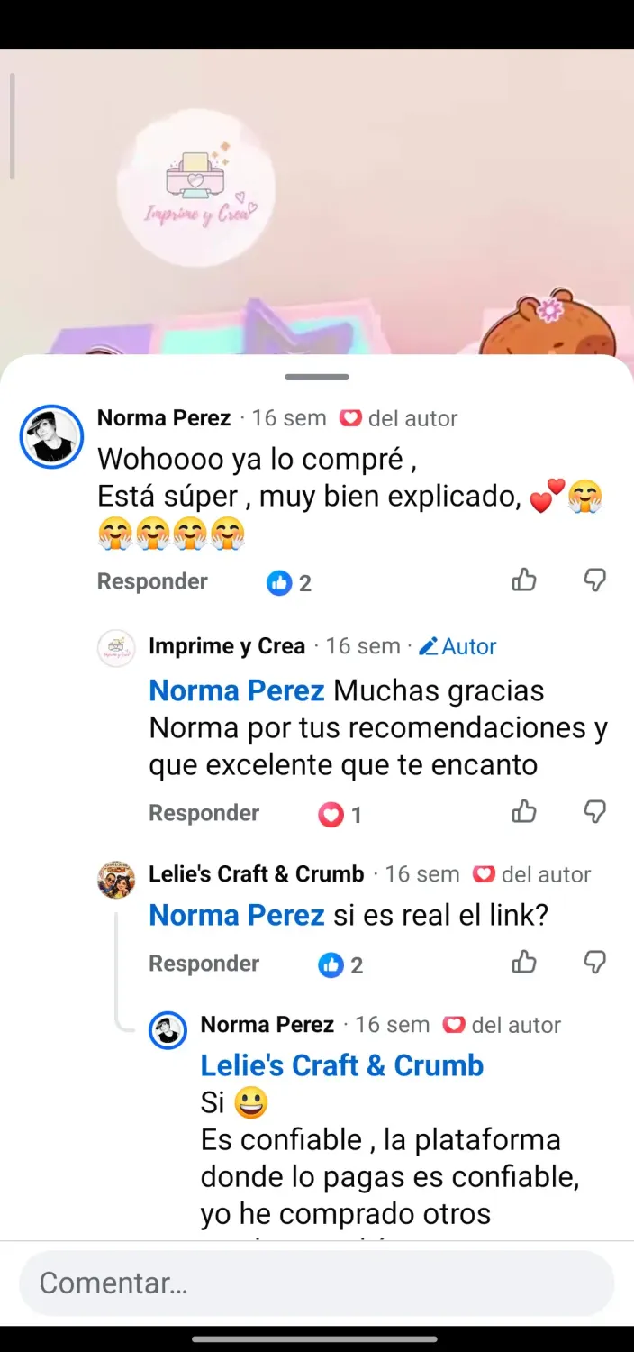 Testimonio 12