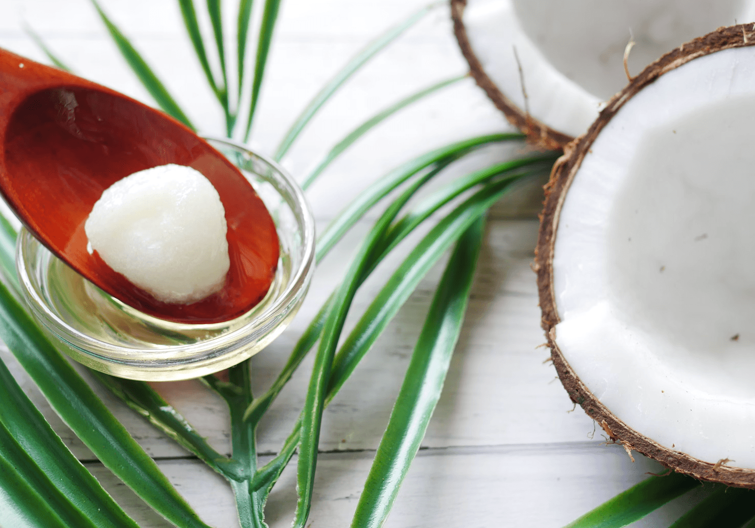 Picture of Coconut Oil for Crohn’s Disease: Full Guide & My Experience