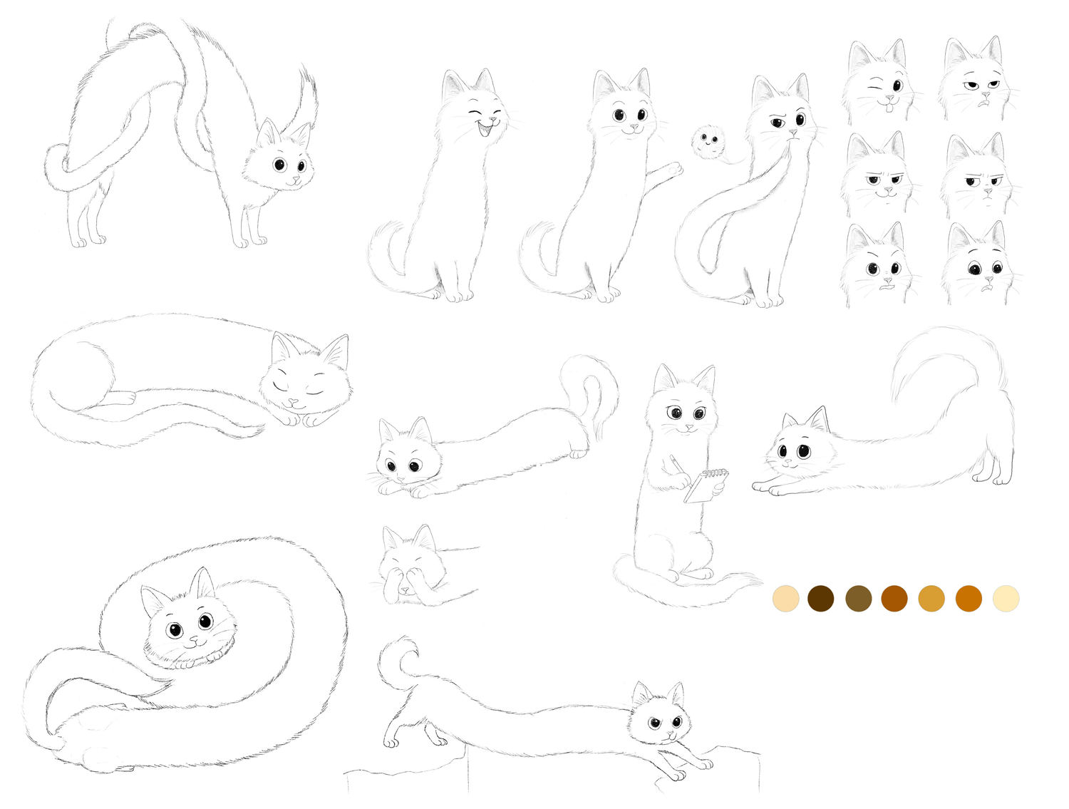 Warum das alles – Linaloo & Müppi