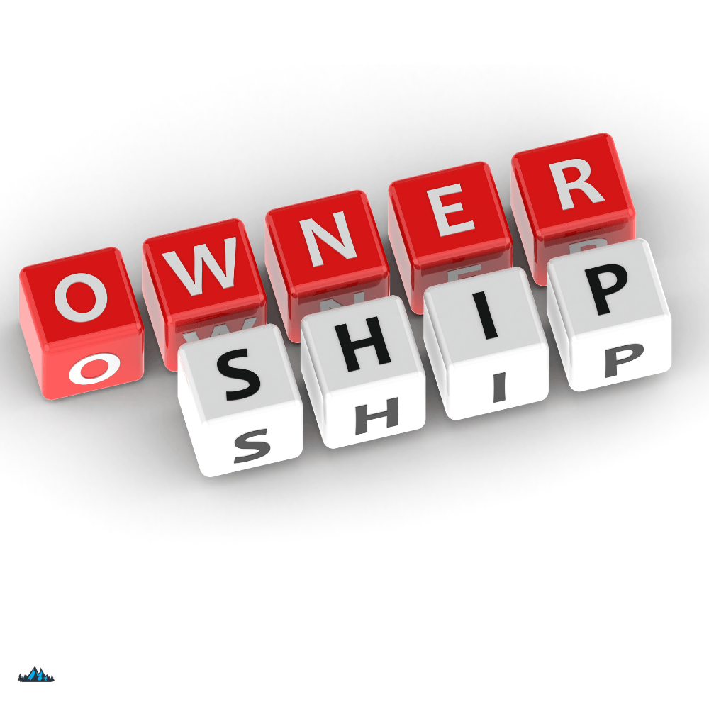Extreme ownership article 