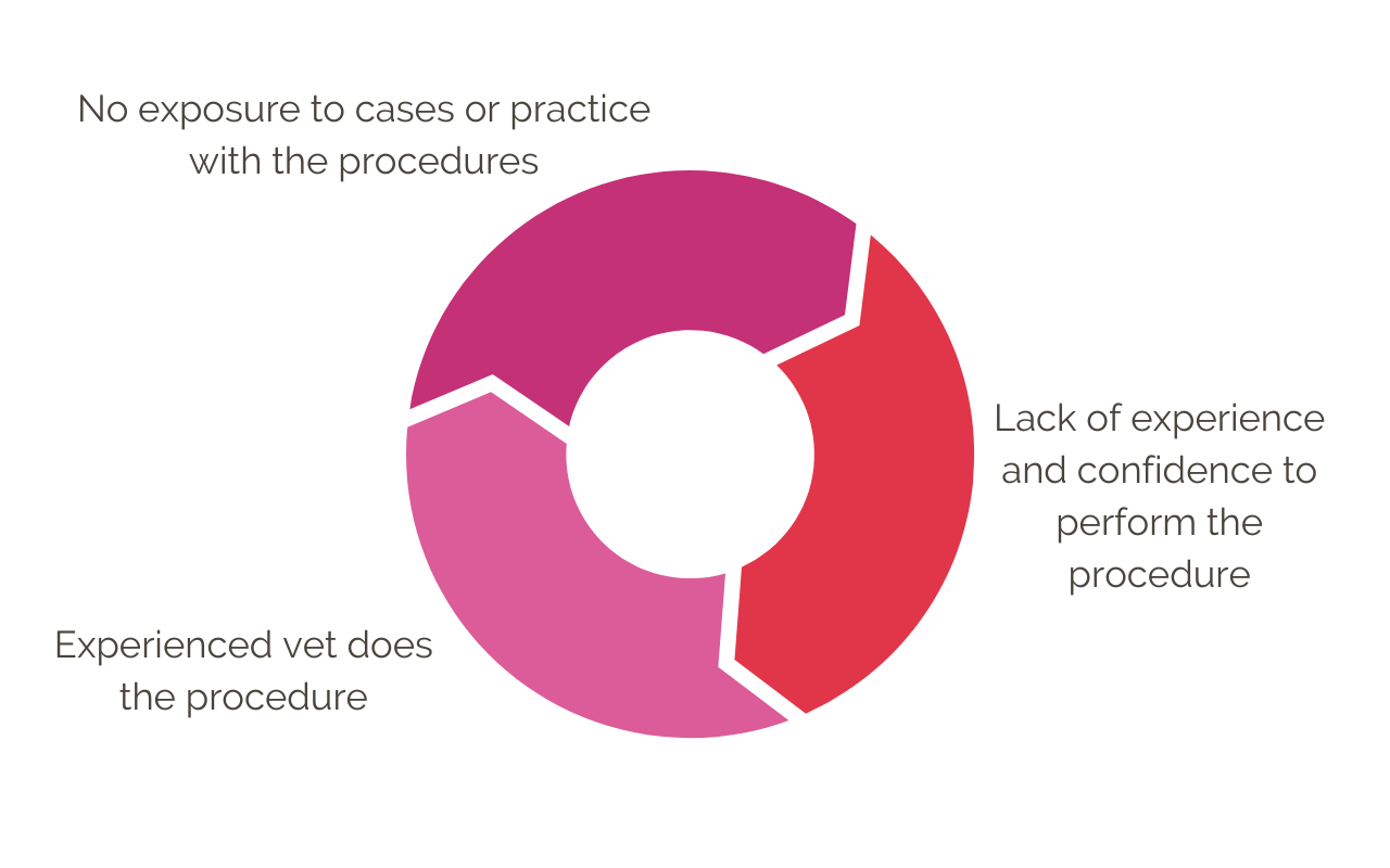 Diagram showing the veterinary no-experience cycle leading to imposter syndrome