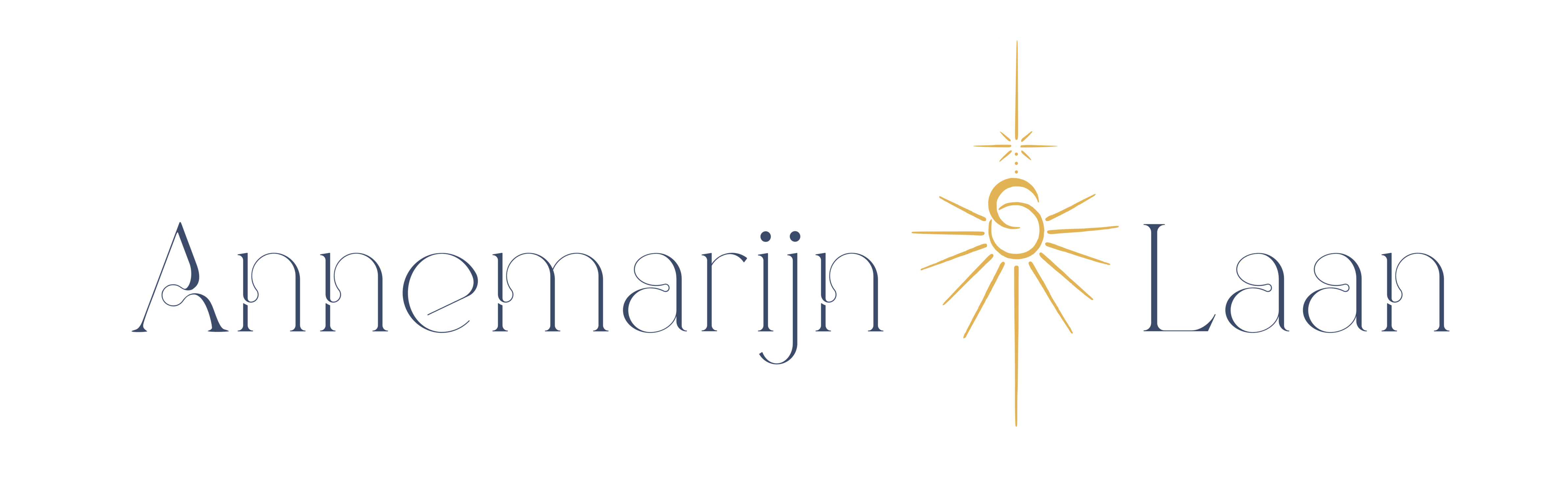 Annemarijn Laan website