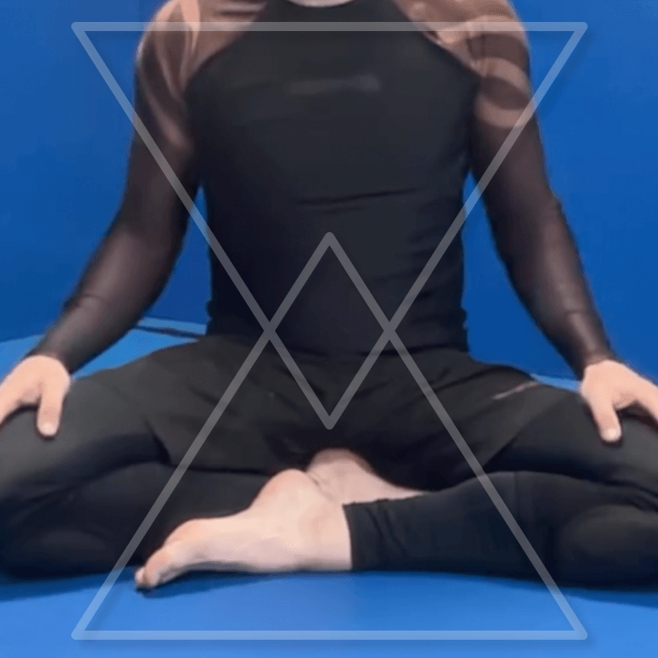 Jiu-Jitsu Base