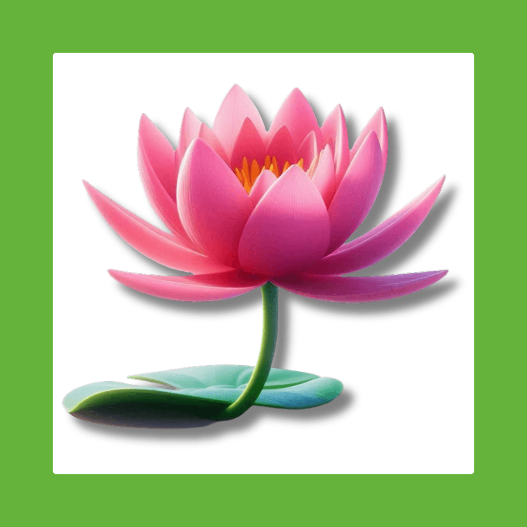Water Lily