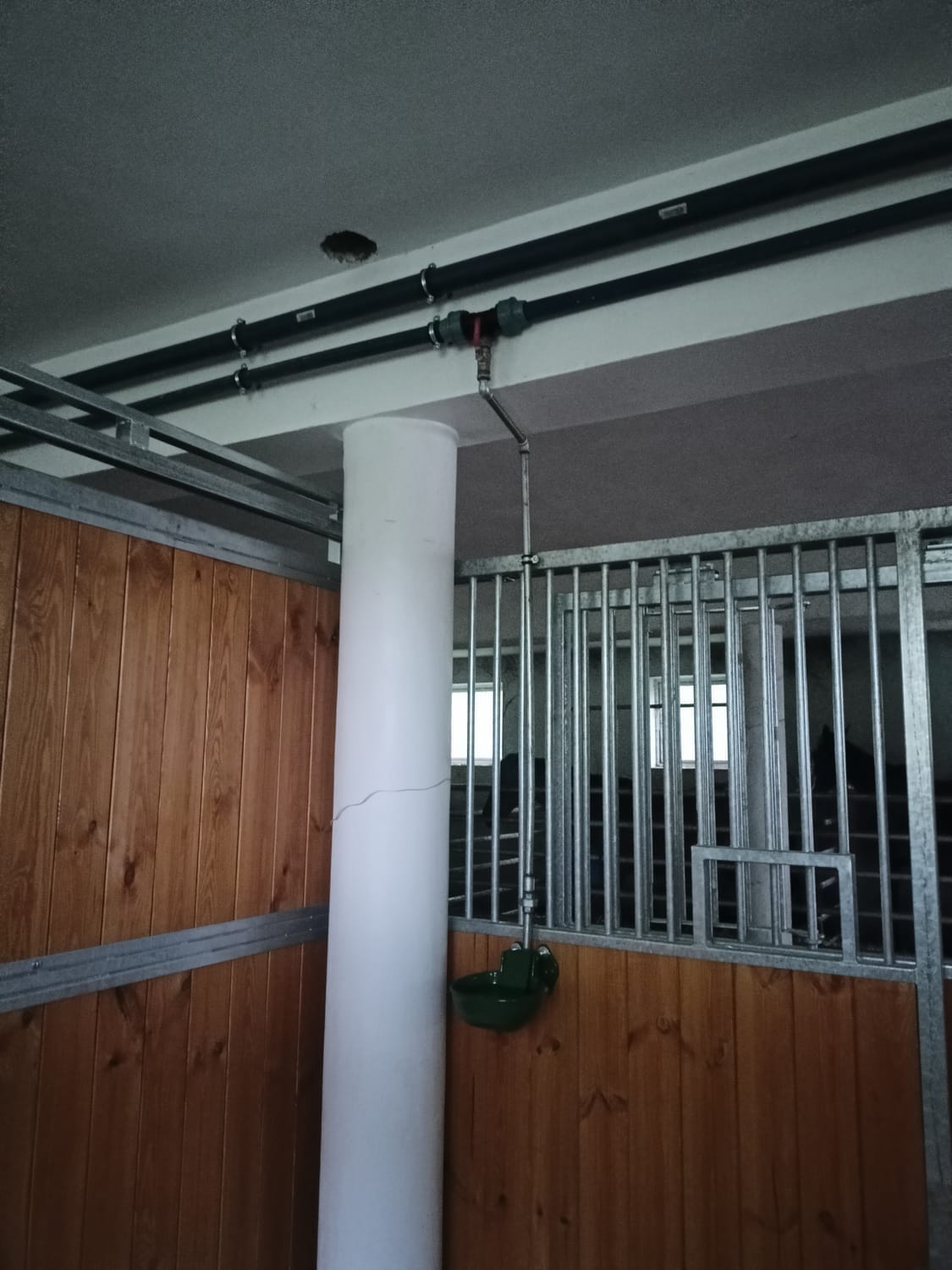 Instalacja wodna poprowadzona nad boksami dla koni w obiekcie jeździeckim