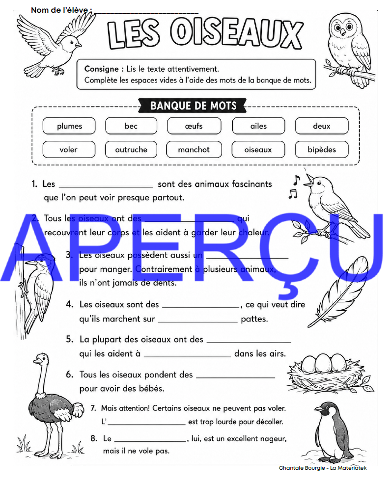Extrait Oiseaux 3