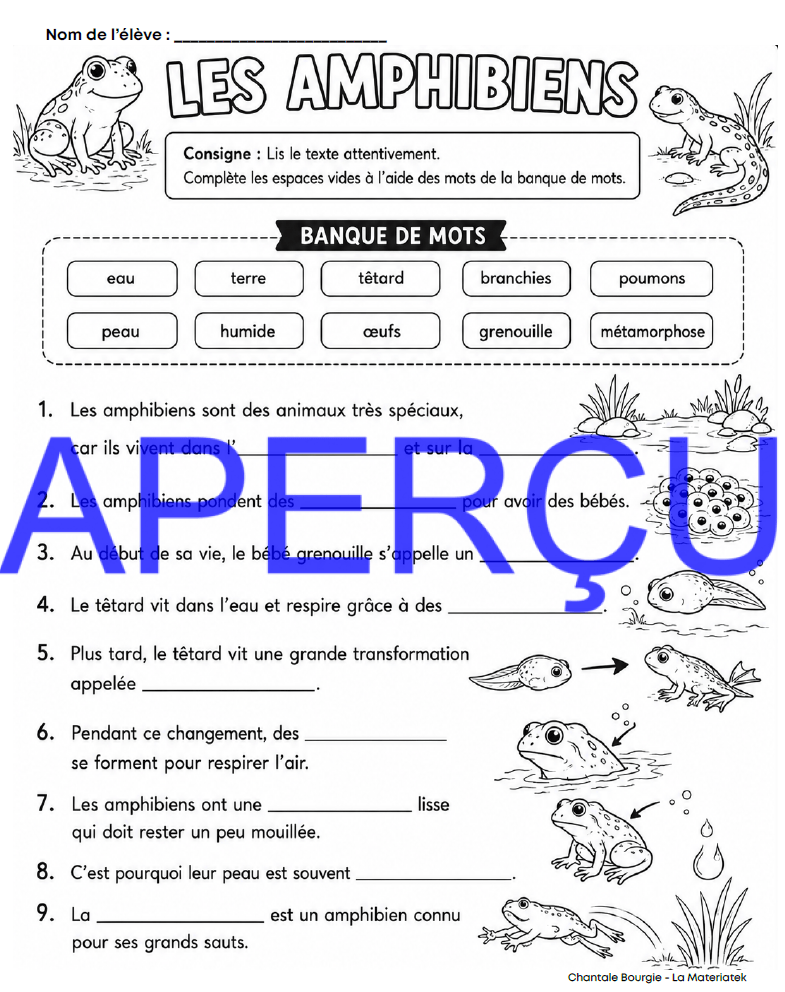 Extrait Amphibiens 3