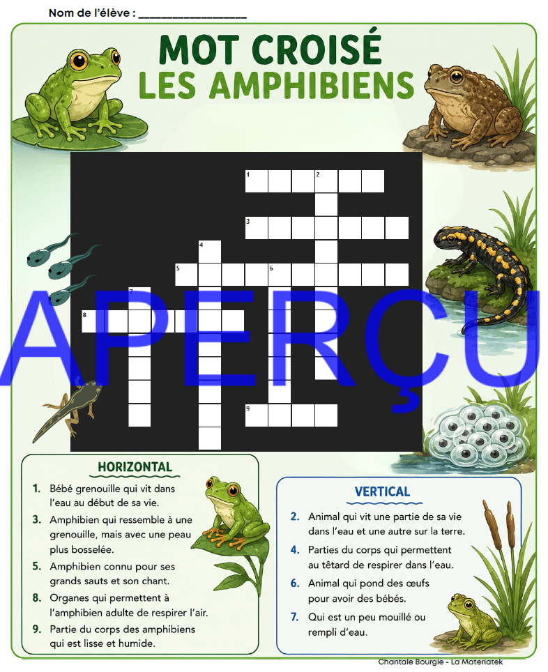 Extrait Amphibiens 4