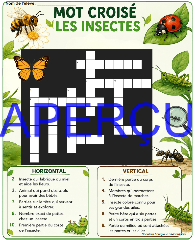 Extrait Insectes 4