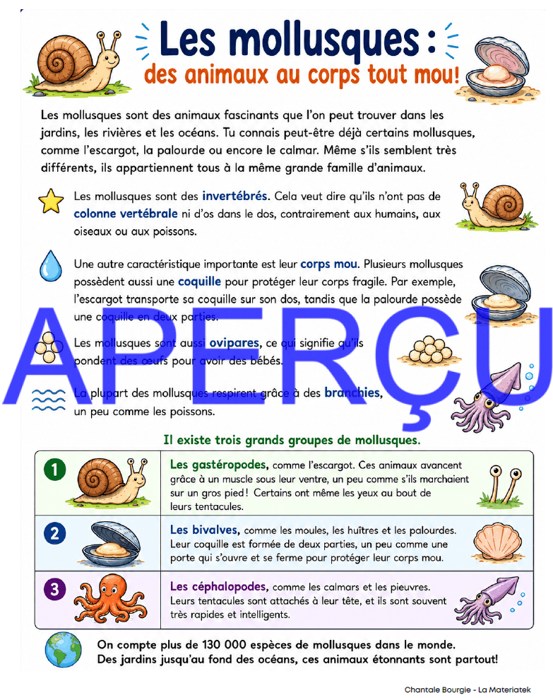 Extrait Mollusques 2