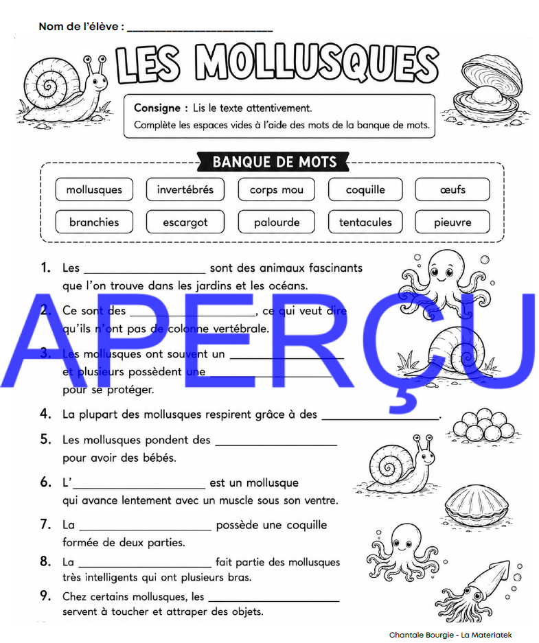Extrait Mollusques 3
