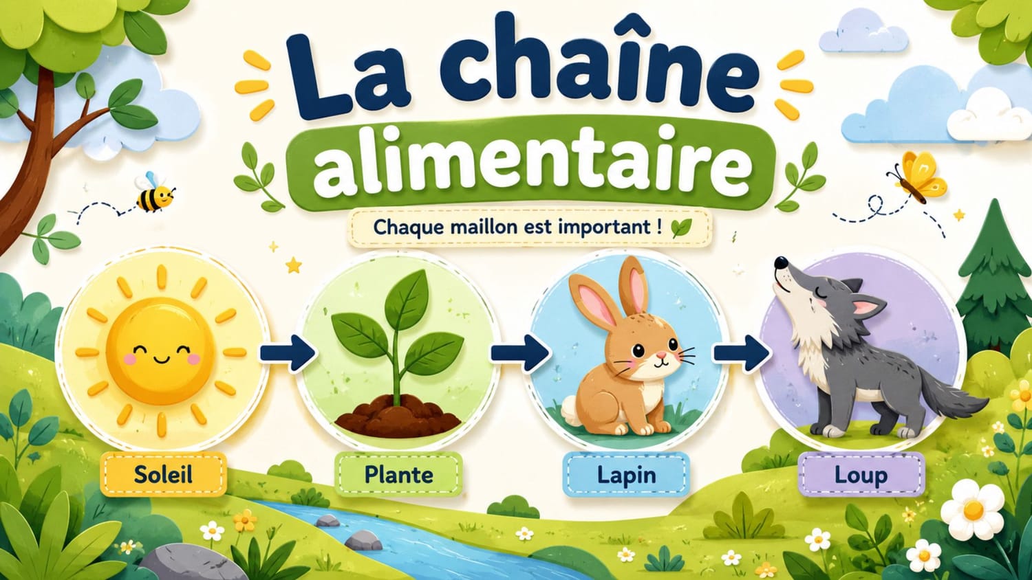 La chaîne et les régimes alimentaires des animaux