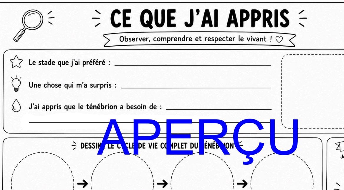 Extrait Pub 6