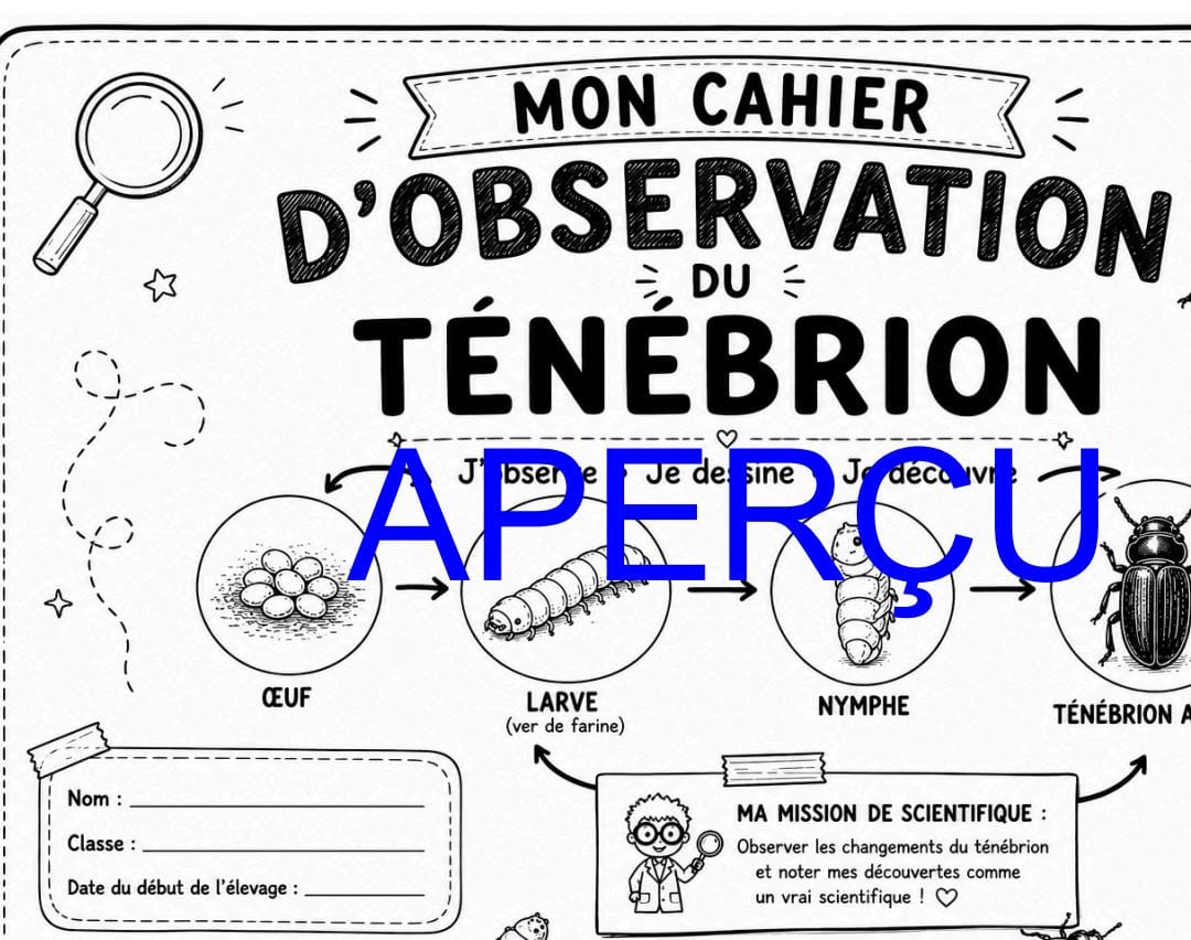 Extrait Pub 3