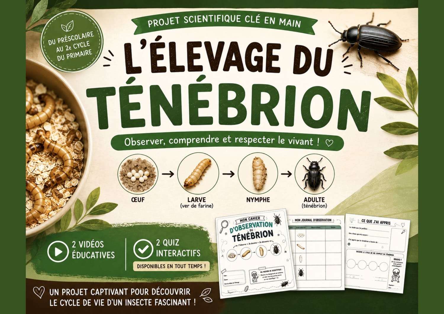 L'élevage du ténébrion