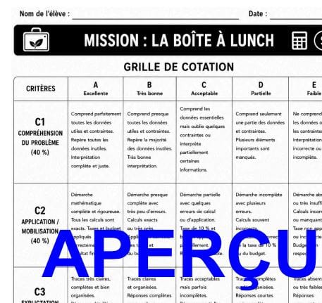 Aperçu 10