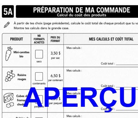 Aperçu 6