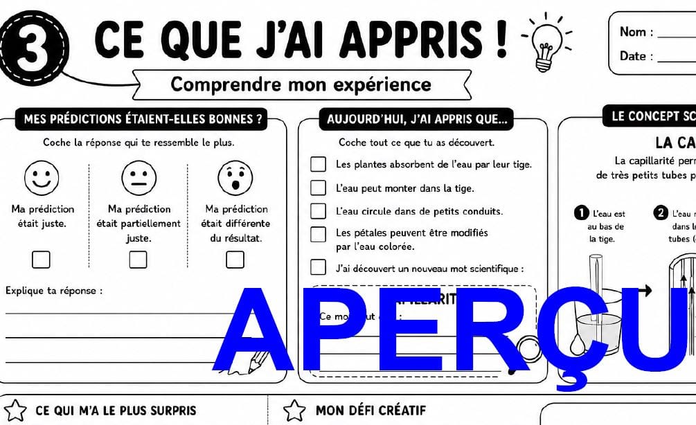 Aperçu 8