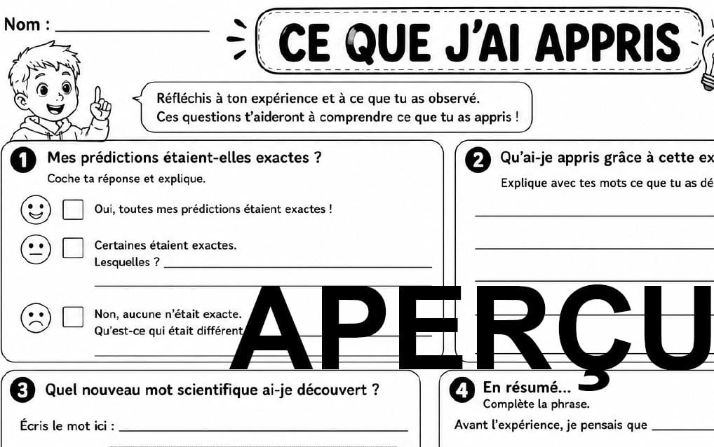 Aperçu 7